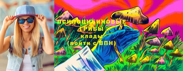 метадон Дмитриев