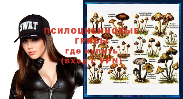 бошки Дмитров
