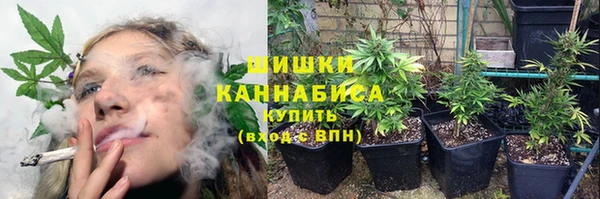 винт Дмитровск
