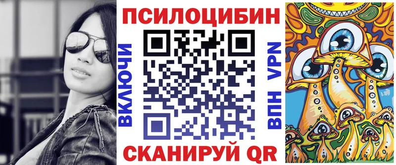 Галлюциногенные грибы Cubensis  Купить  Кашин 